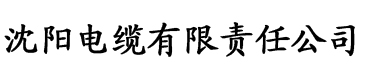 《暗房》未删版电缆厂logo